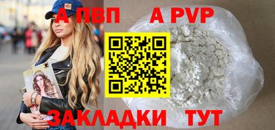 стаф Владимир