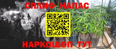 стаф Владимир