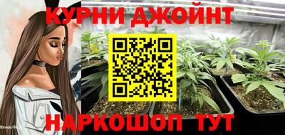 a pvp Брянск