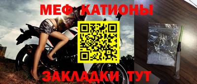 стаф Владимир