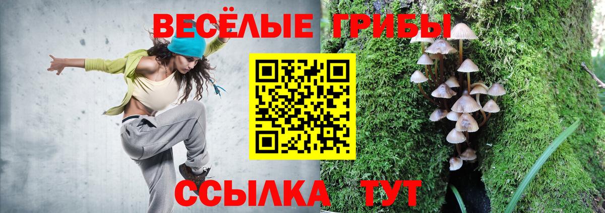 Псилоцибиновые грибы ЛСД Рославль